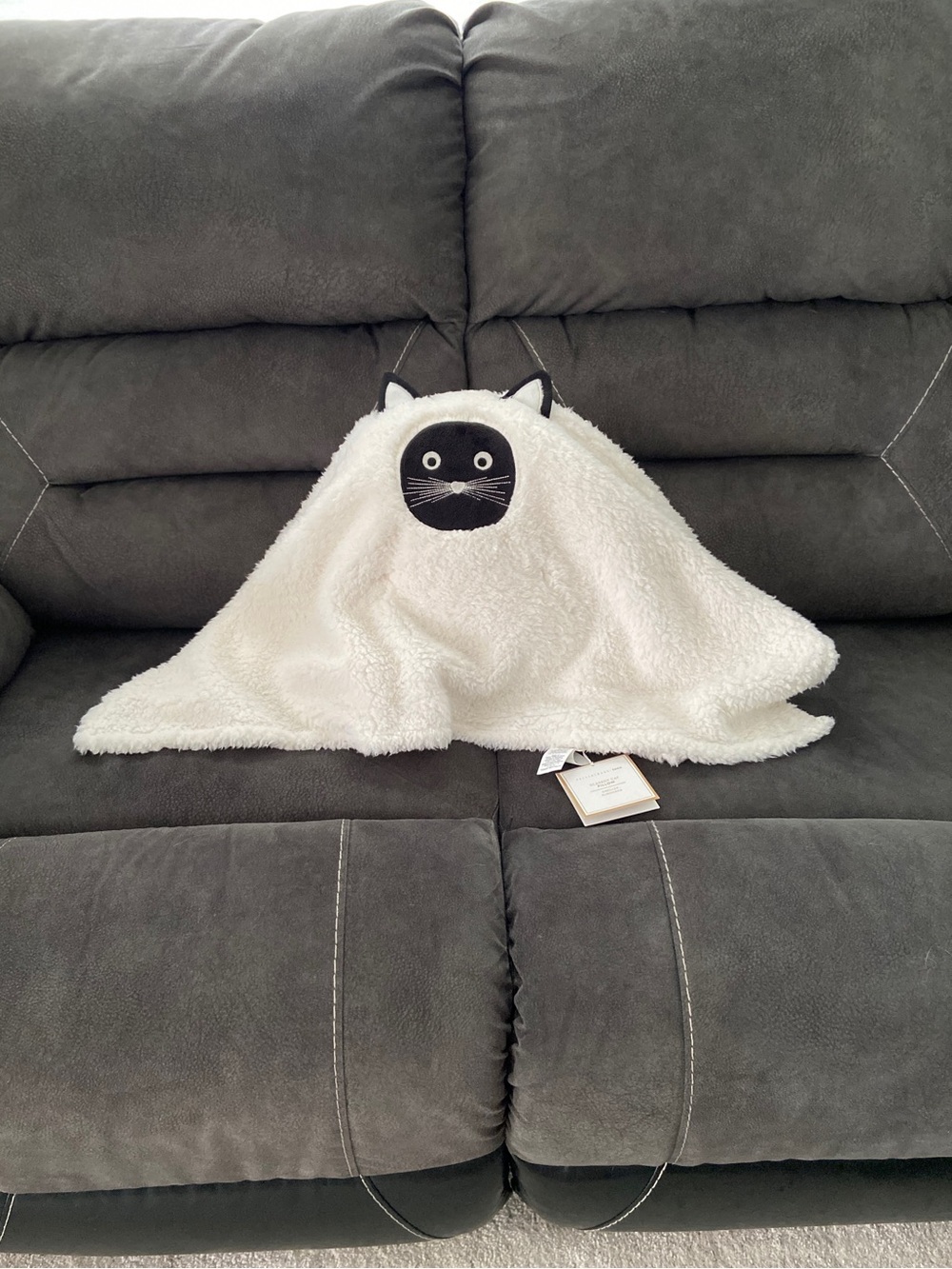 Scaredy Cat Pillow Pottery Barn NWT